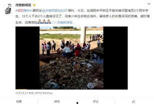 信阳学生家长爆料视频最新,揭秘校园安全问题